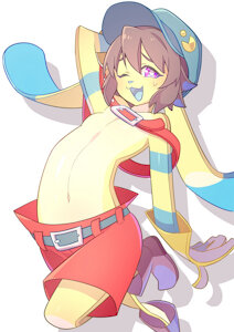 Commission-Commissioner's OC