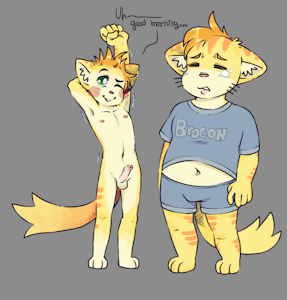 Good morning bro;;;;