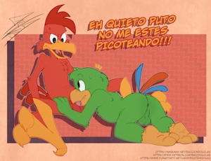 The Gay Caballeros