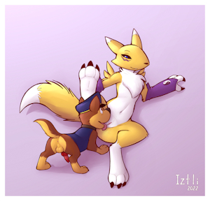 [SStar/Fanbox] Renamon x Chase