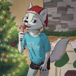 Sascha in: Hail Santa!