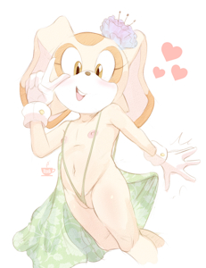 Year of bnnuy