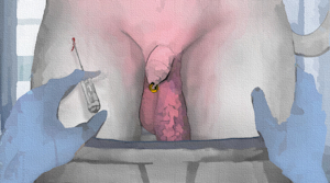 The new dog [medical kinks]