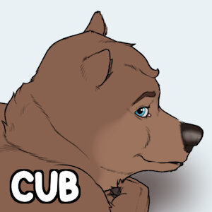 Bear boy