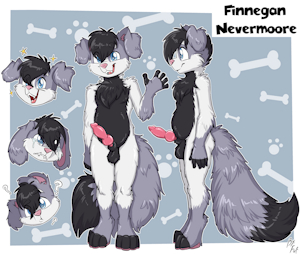 Finnegan "Finn" Nevermoore