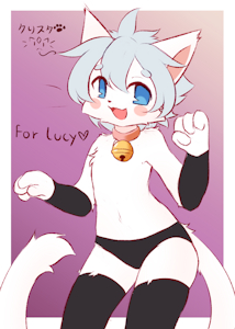 Lucy the cat