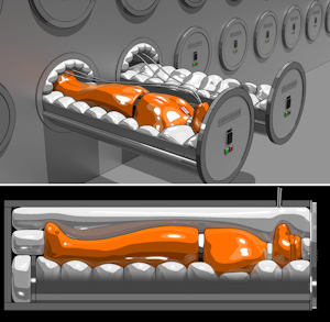 Black Fortress Prison Pods