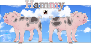 Hammy the baby pig