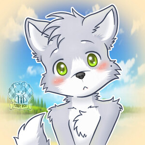 Meet “Tobey” the Wolf