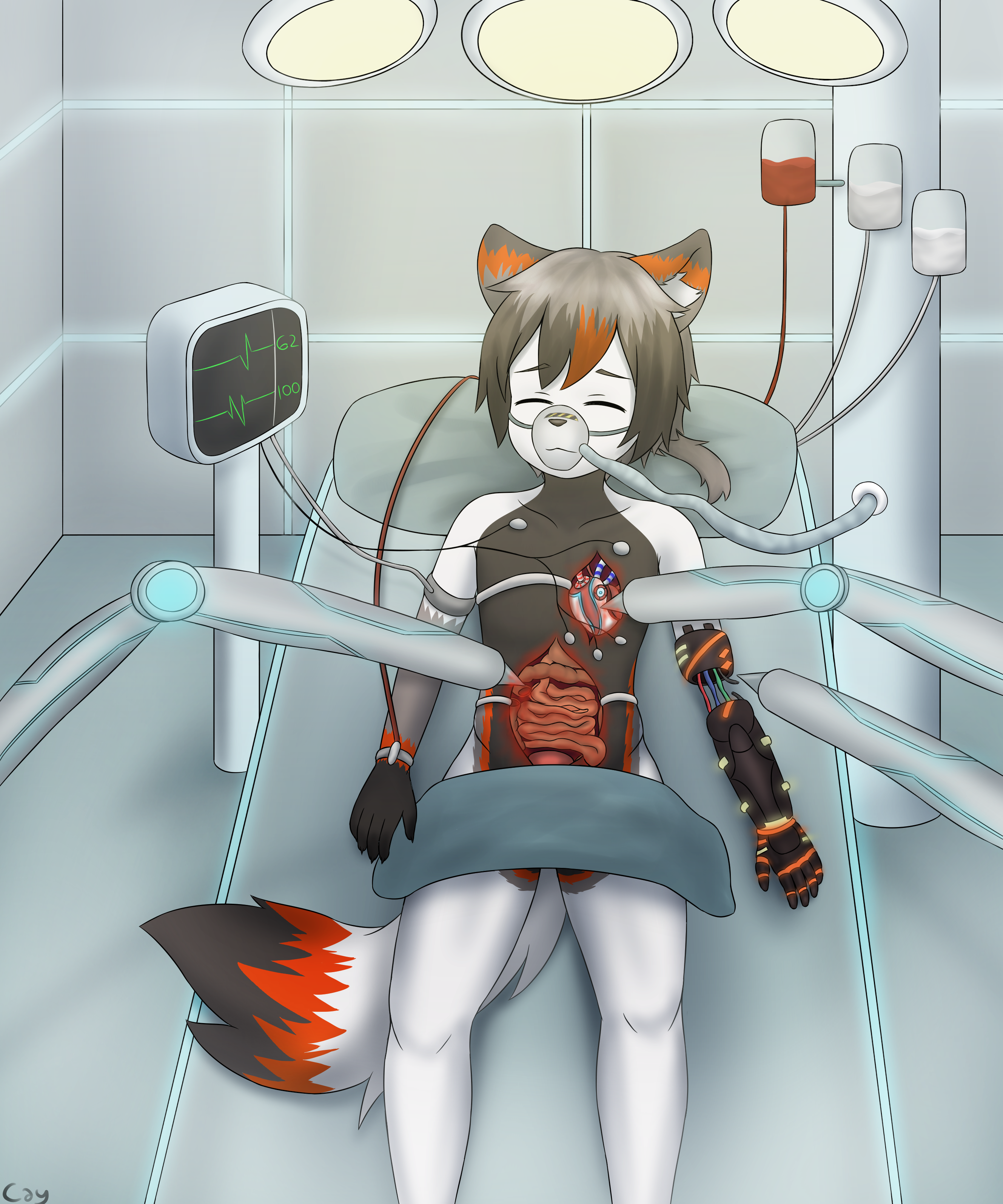 4346795_caylleen_cloth_ver.png