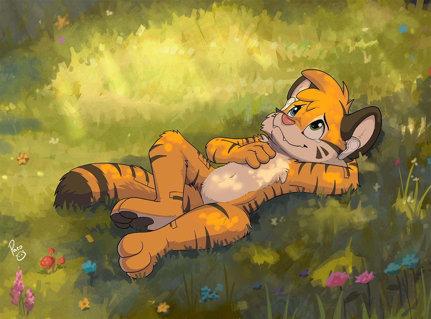 4347165_pandapaco_tygre_null.png