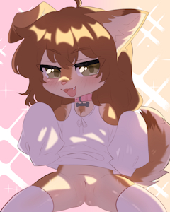 SR:Wolfelix