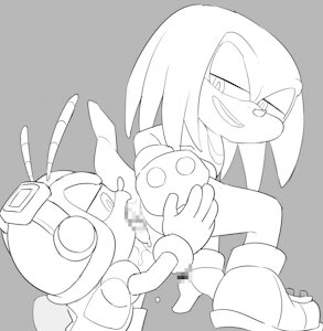 Commission-Knuckles the Echidna and Charmy Bee
