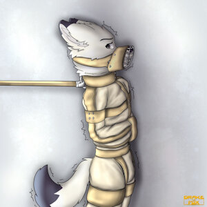 restrained, muzzled and treated