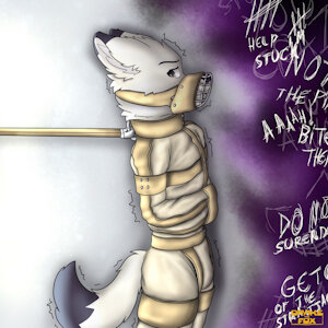 4359726_Drakethefox_photo_2023-02-10_20-28-34.jpg