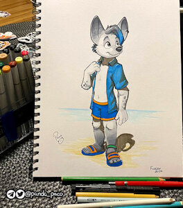 4363694_pandapaco_1067kaseyhyena.jpg