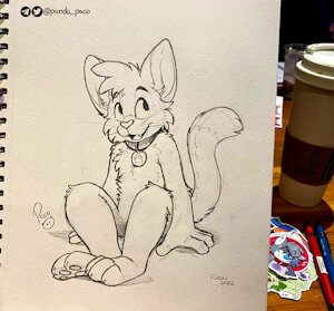 4363695_pandapaco_1068douglascat.jpg