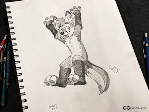 4363700_pandapaco_1072raidiak.jpg