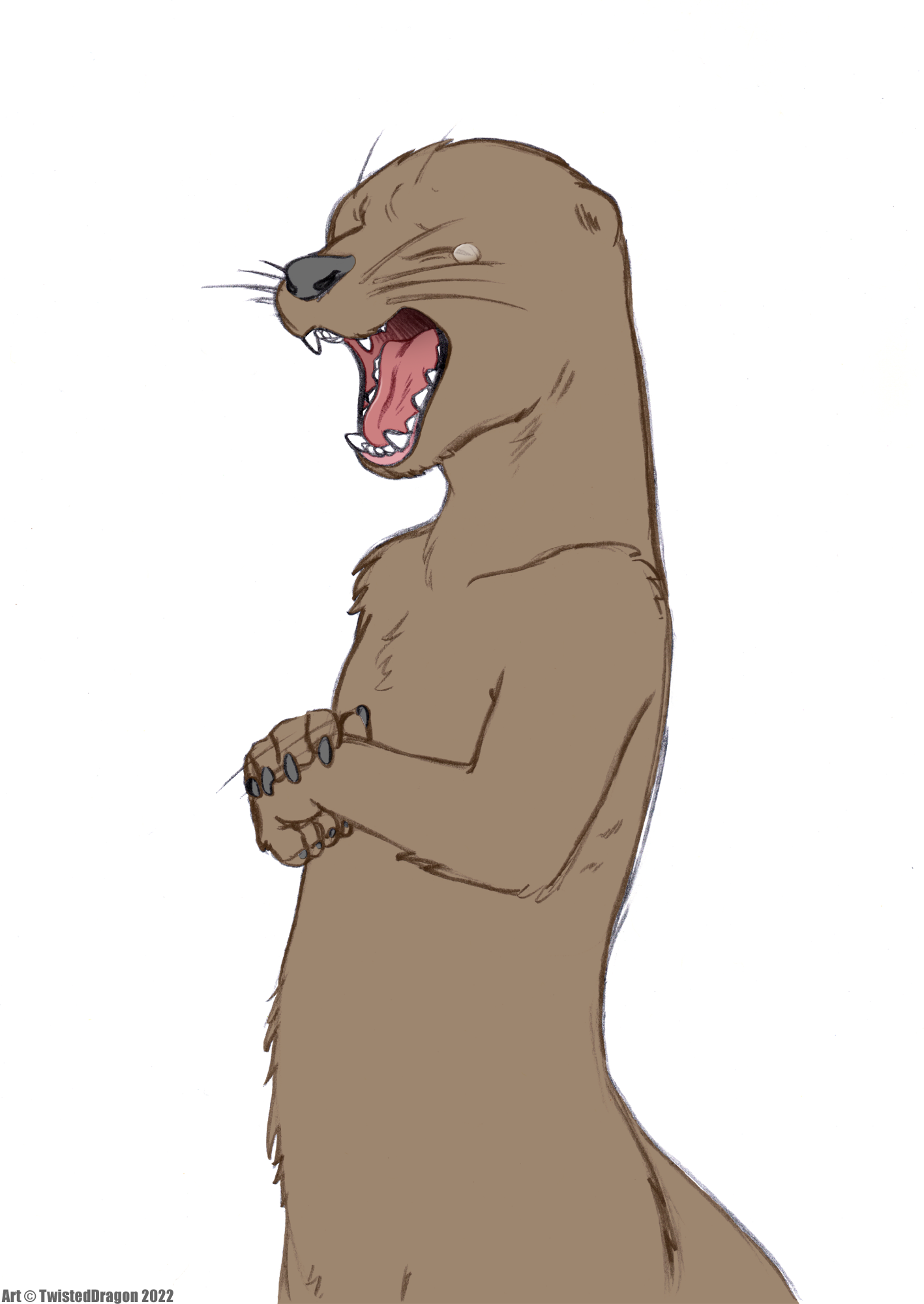 4366698_TwistedDragon_ottermaw_color.png