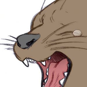 Otter Maw (Discipline)