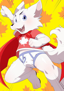 Commission-Commissioner's OC