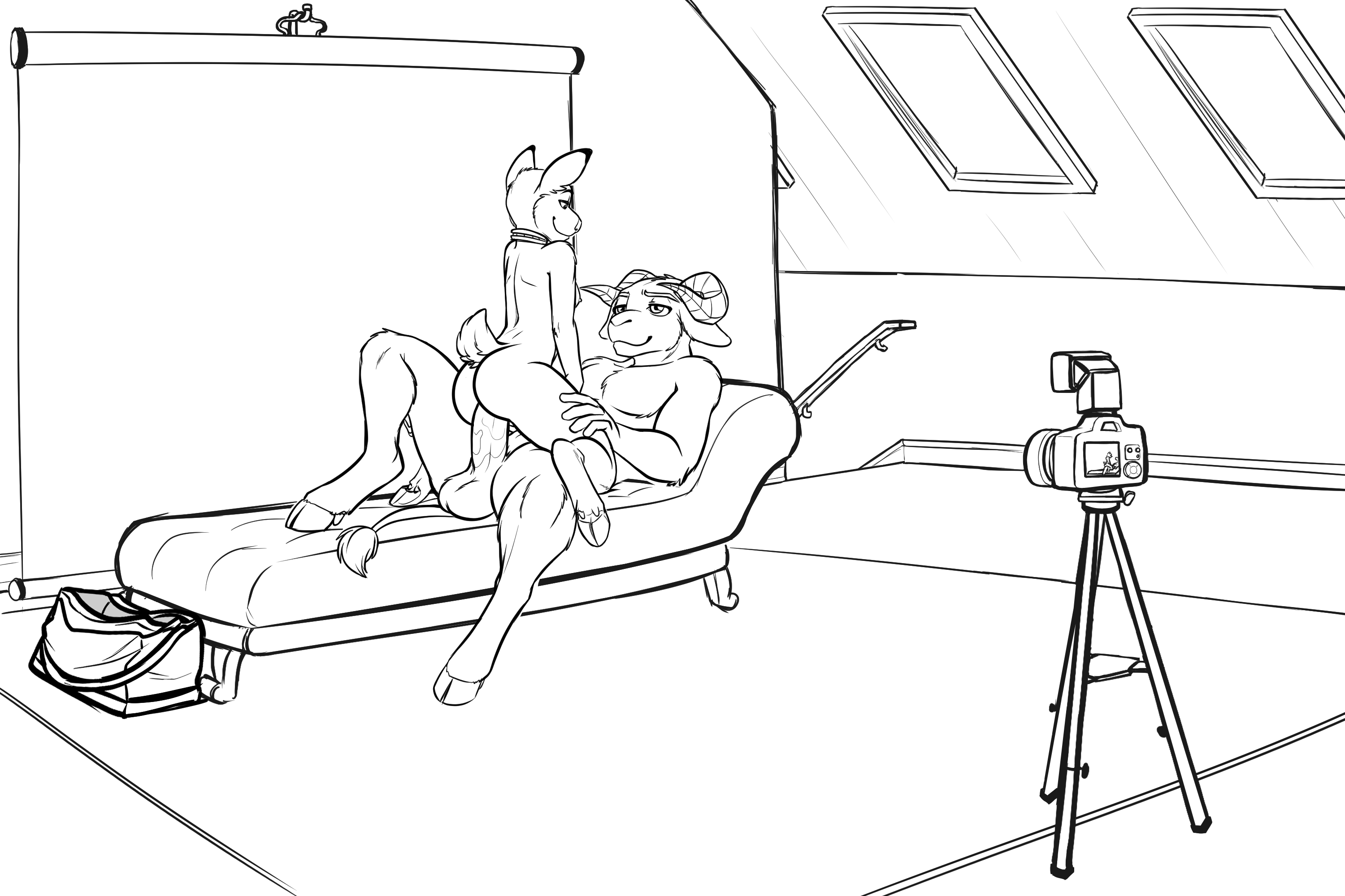 4383321_blackkitten_photoshoot21.png