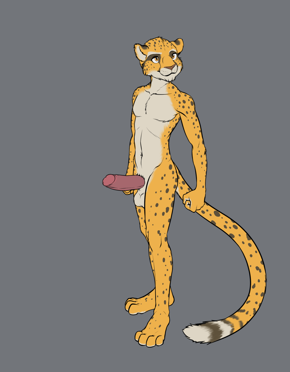 4383349_blackkitten_char04_c.png