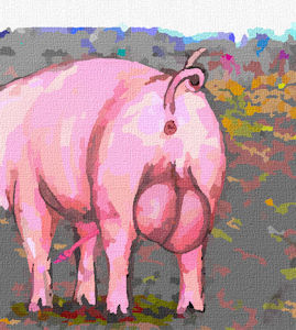 4396488_darkmare_wholehog2.png