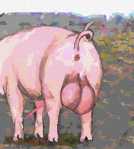 4396660_darkmare_wholehog3.png