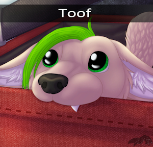 Toof