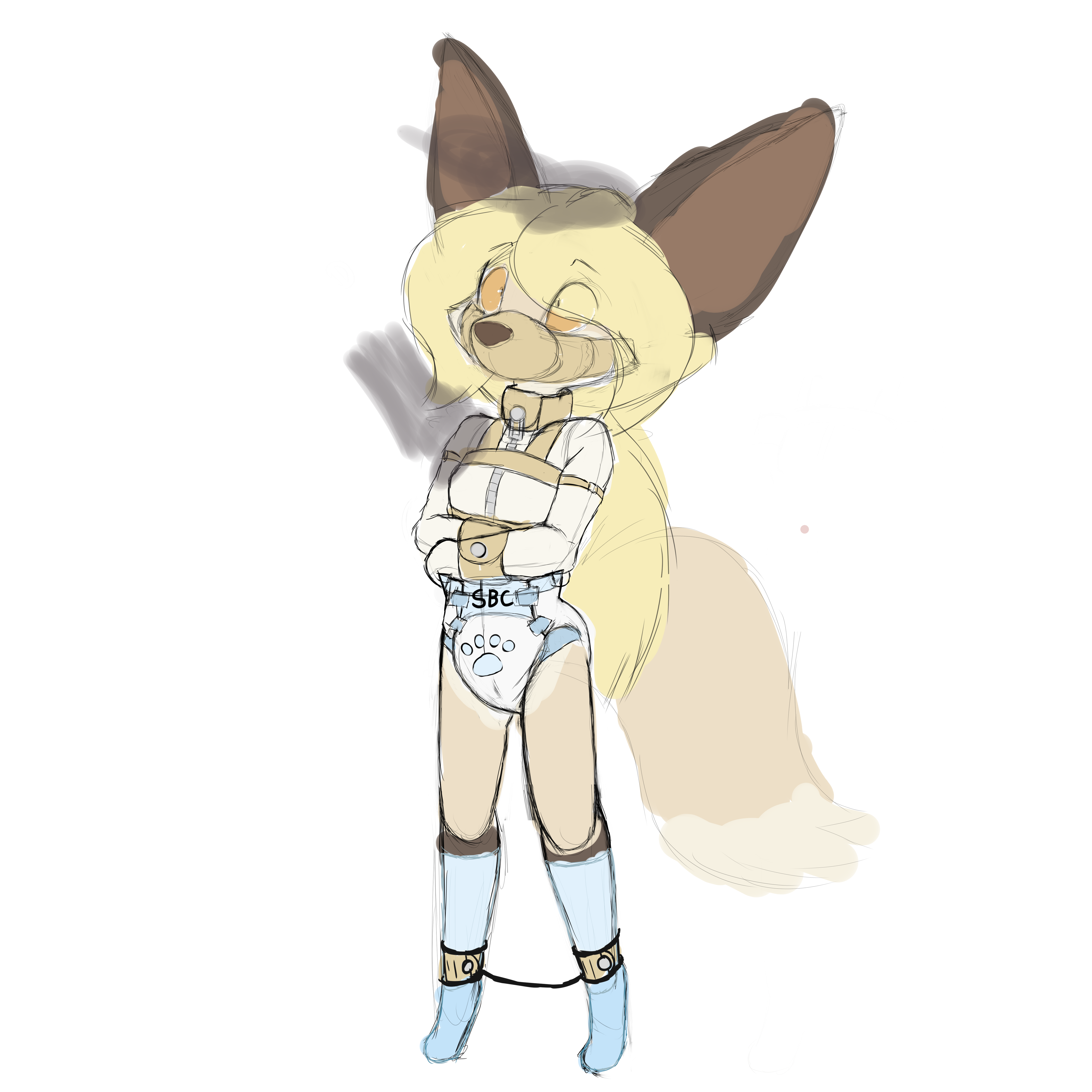 4400442_Smolfoks_sbcc.png