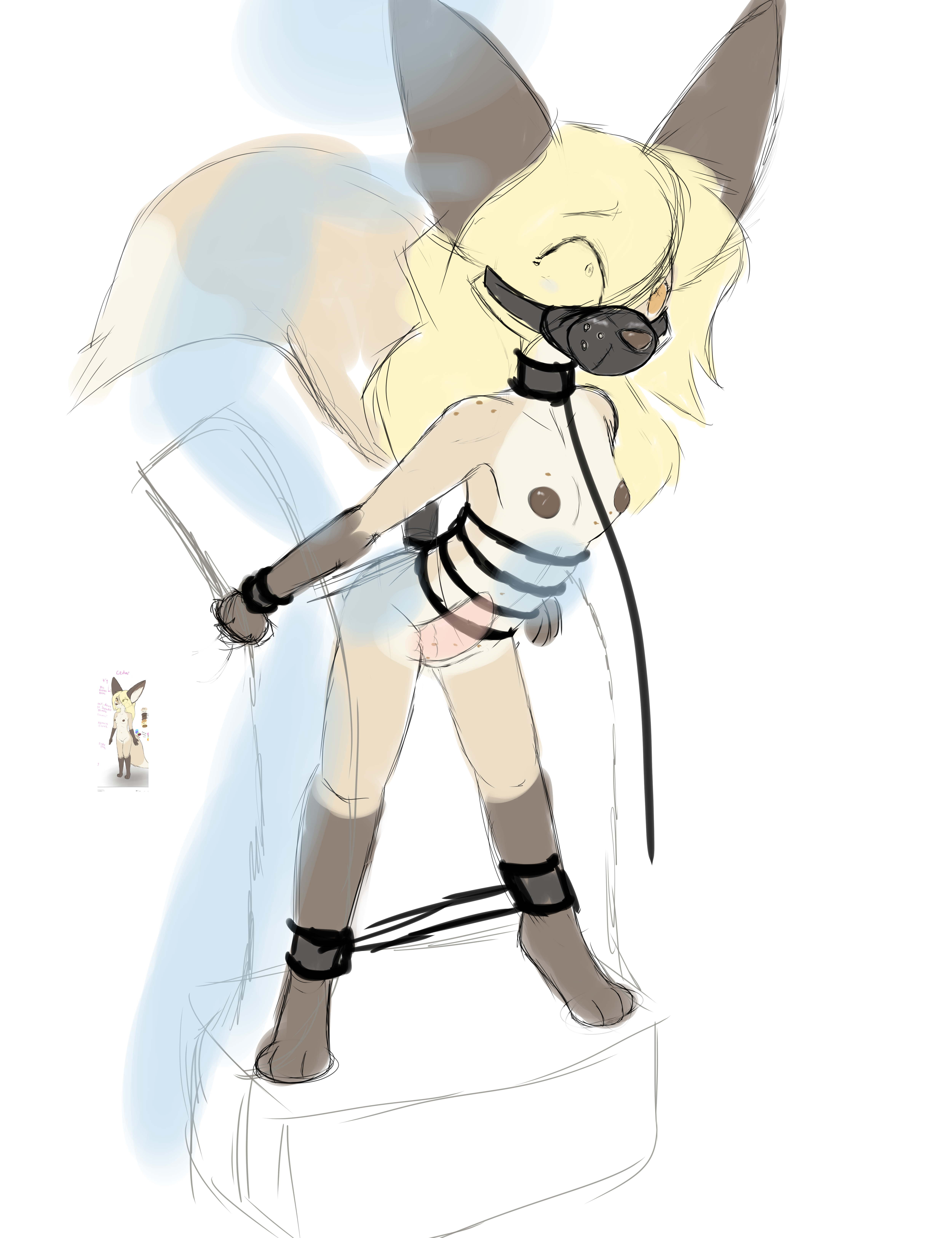 4400459_Smolfoks_madires35.png