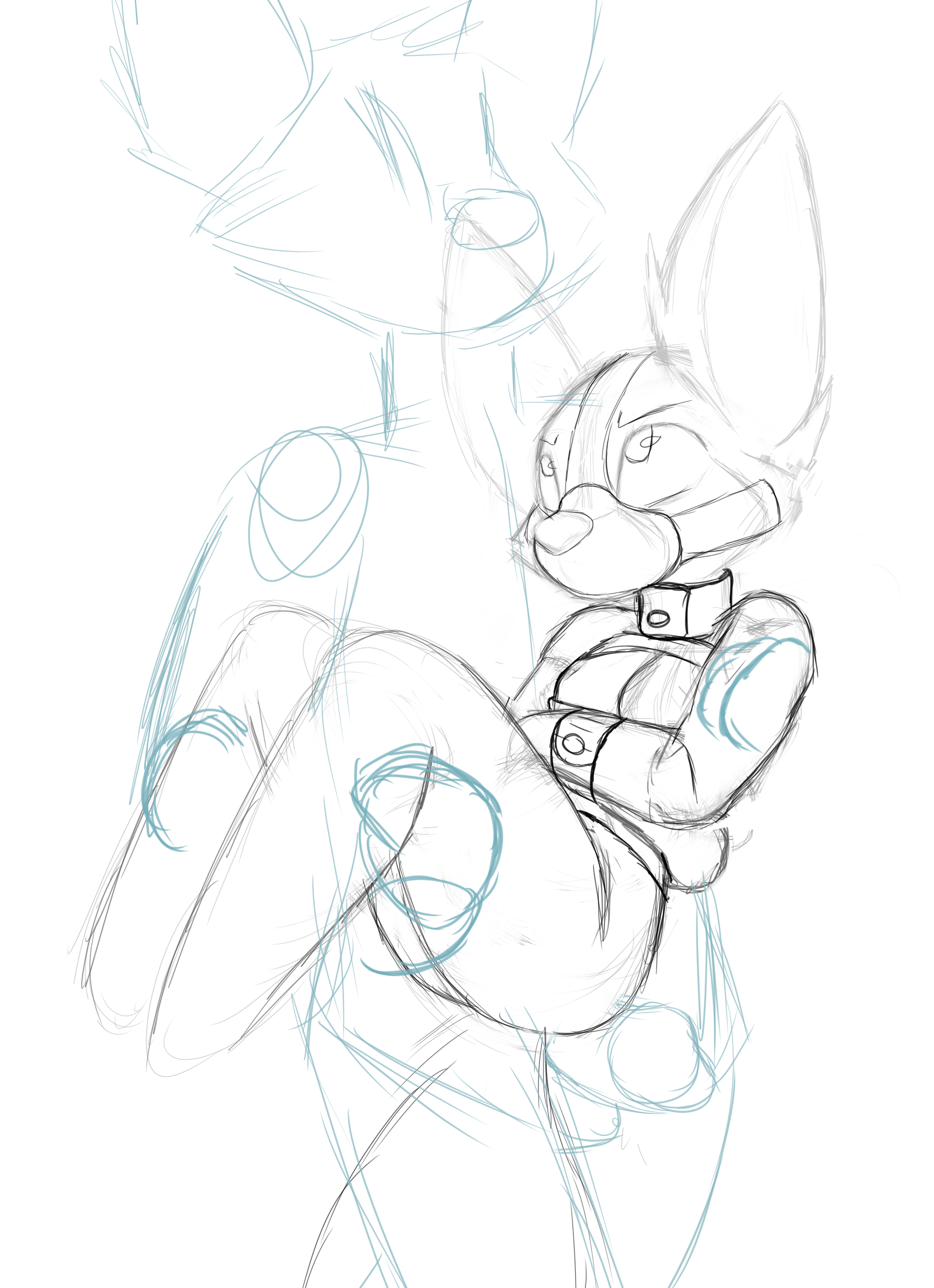 4400467_Smolfoks_jacketcarry.png