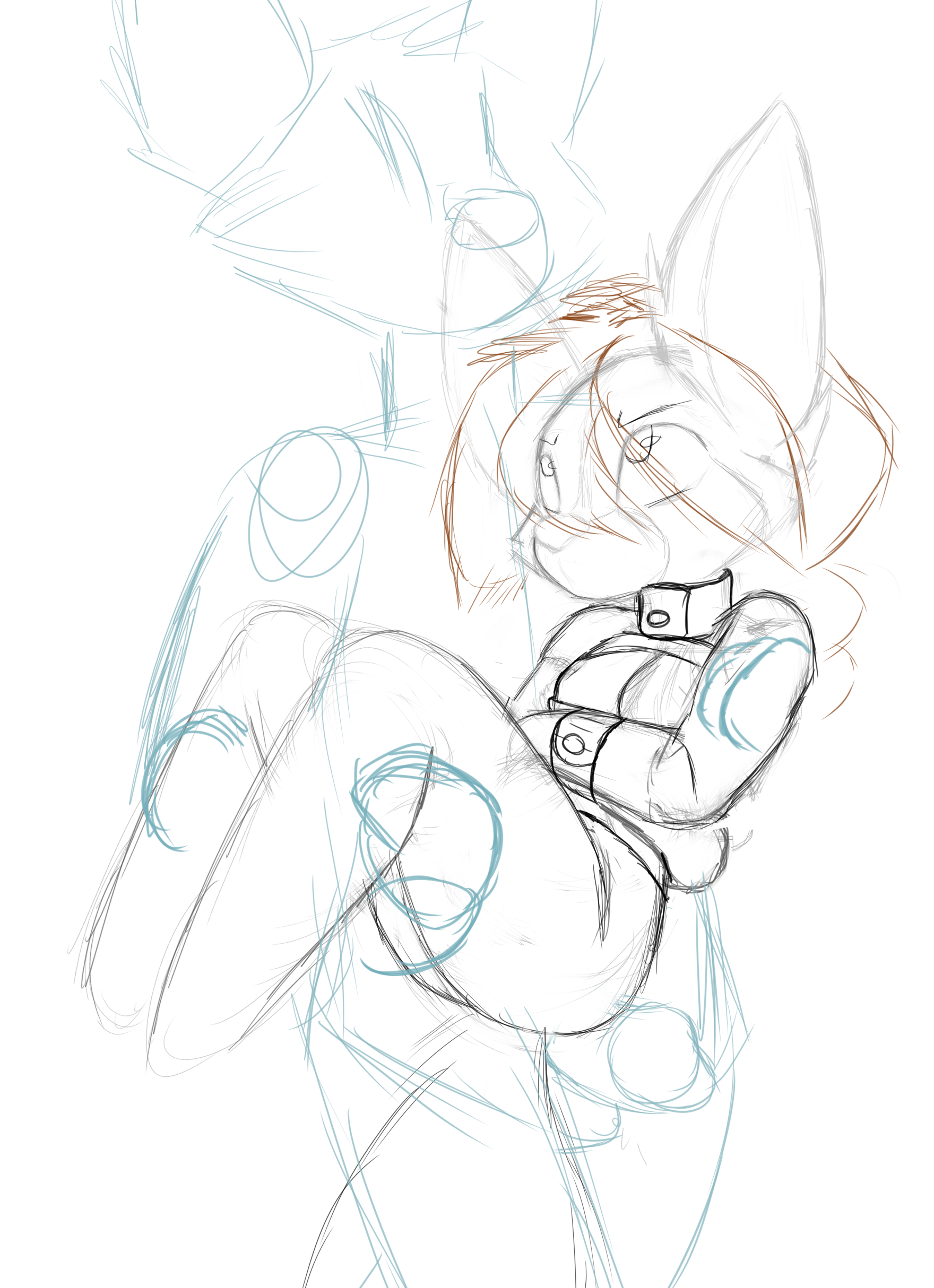 4400468_Smolfoks_jacketcarry2.png