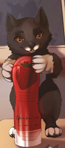 Little Balto, at your service
