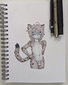 snow kitty