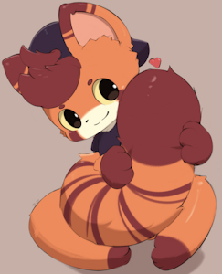[C] Noche