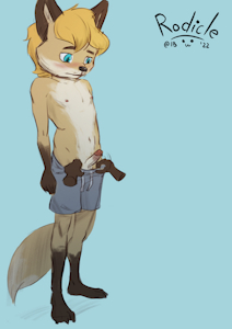 Fox boy