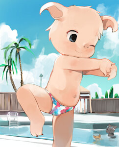 Outdoor swimming pool