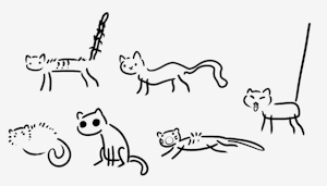 My cats