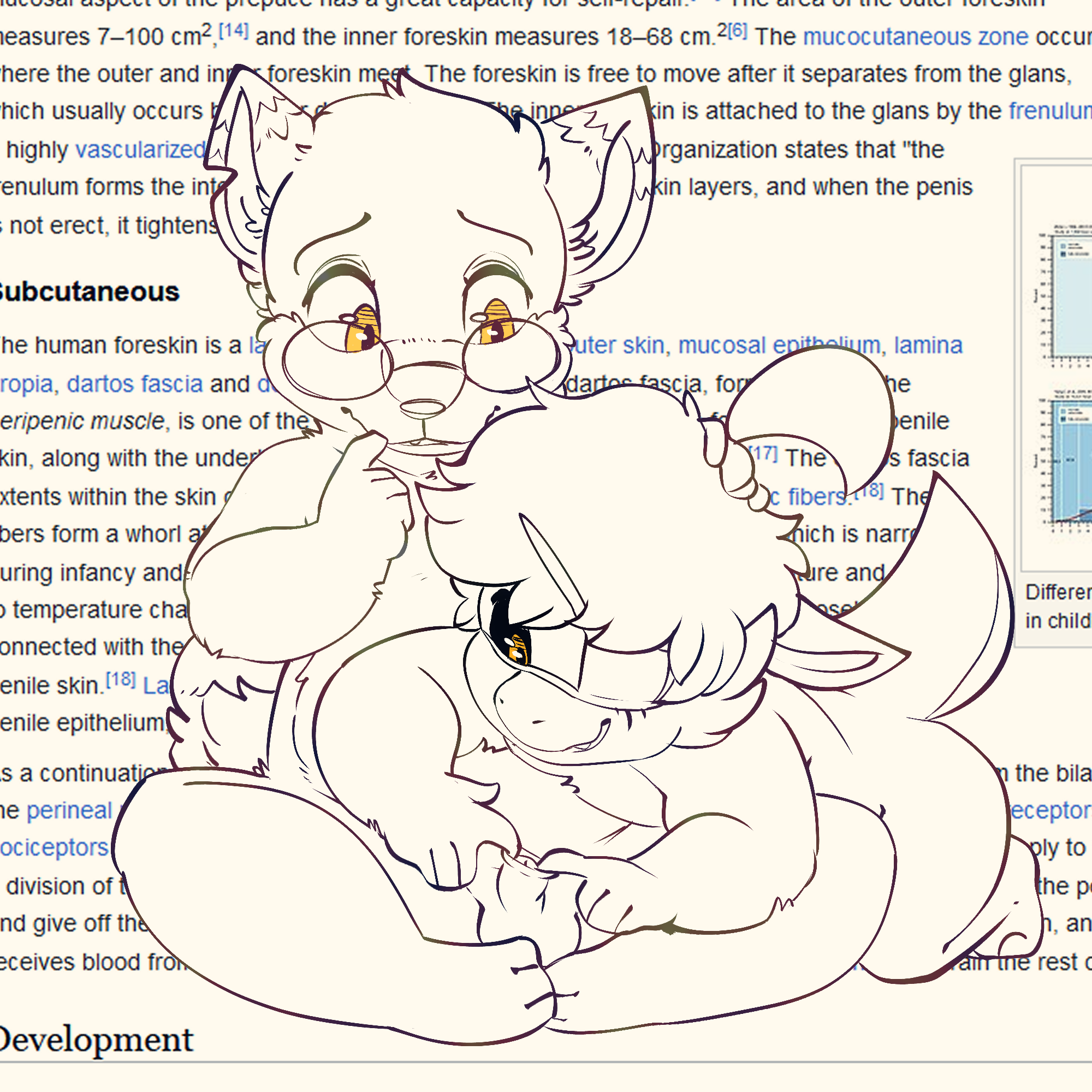 4403613_Battler_bolzan_foreskin_rant_2.png