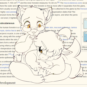 4403613_Battler_bolzan_foreskin_rant_2.png