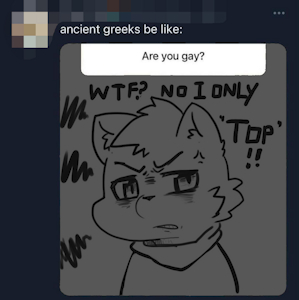 Q:Are you gay ?