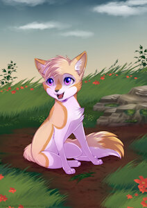 Warrior Cat Ruki