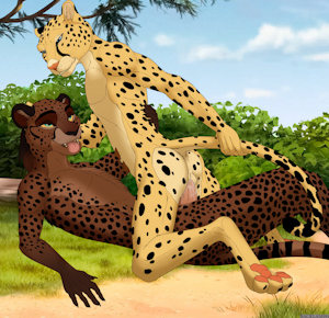 Cheetah Lovers