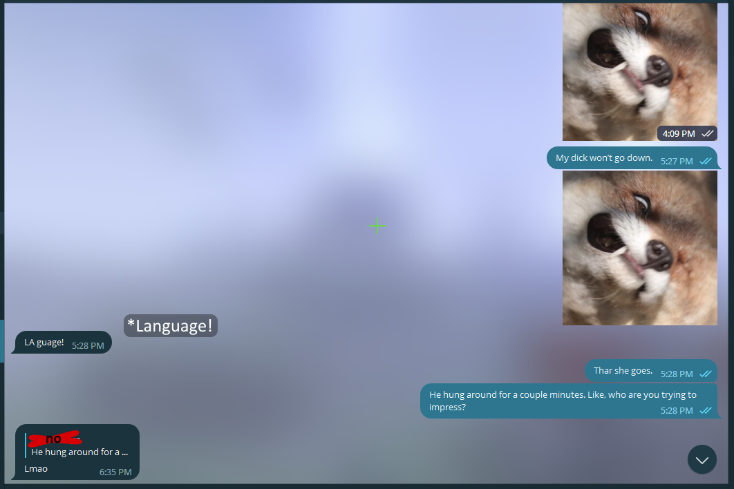 4412280_CubCandy_chat.png