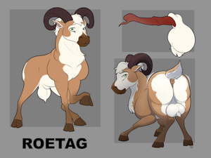 Roetag