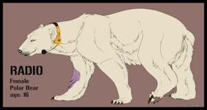 Radio The Polar Bear