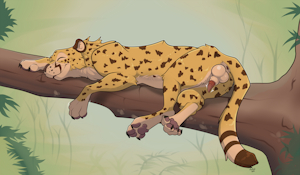 Sleeping Altaï