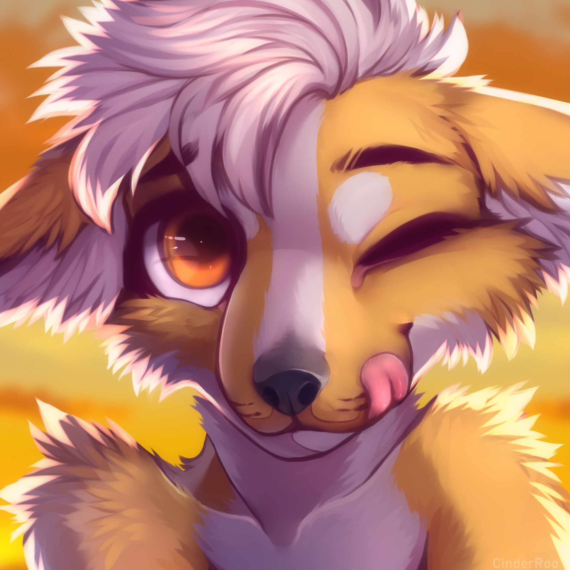4422898_CinderRoo_riggles_clean_noglasses.png